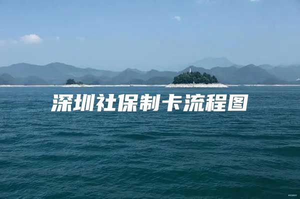 深圳社保制卡流程图