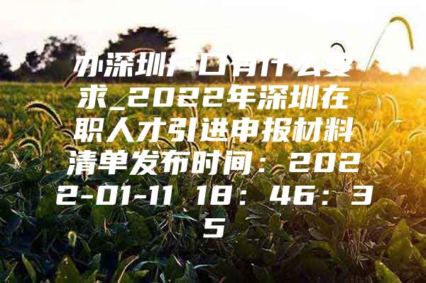 办深圳户口有什么要求_2022年深圳在职人才引进申报材料清单发布时间：2022-01-11 18：46：35