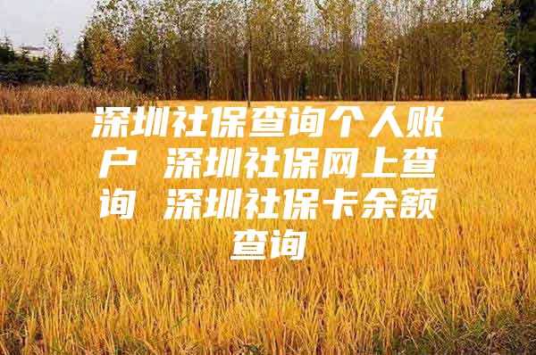 深圳社保查询个人账户 深圳社保网上查询 深圳社保卡余额查询