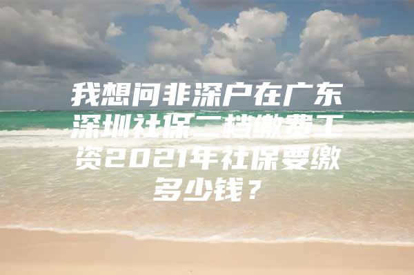 我想问非深户在广东深圳社保二档缴费工资2021年社保要缴多少钱？