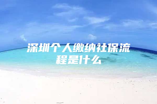 深圳个人缴纳社保流程是什么