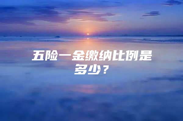 五险一金缴纳比例是多少？