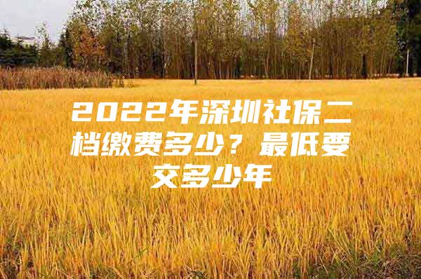 2022年深圳社保二档缴费多少？最低要交多少年