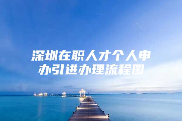 深圳在职人才个人申办引进办理流程图