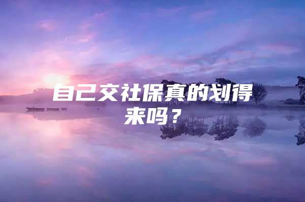 自己交社保真的划得来吗？