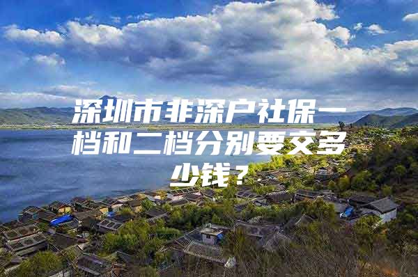 深圳市非深户社保一档和二档分别要交多少钱？