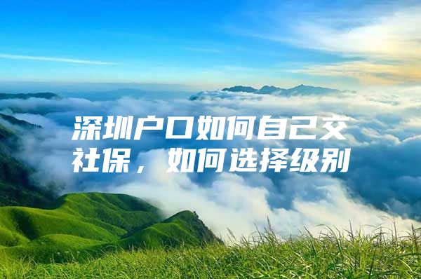 深圳户口如何自己交社保，如何选择级别