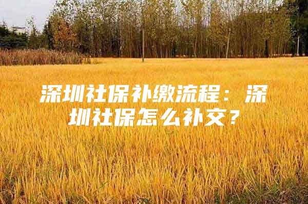 深圳社保补缴流程：深圳社保怎么补交？