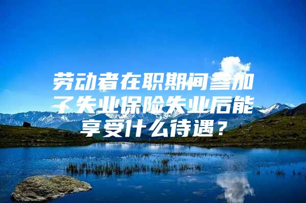 劳动者在职期间参加了失业保险失业后能享受什么待遇？