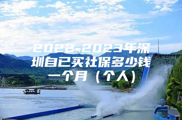 2022-2023年深圳自已买社保多少钱一个月（个人）