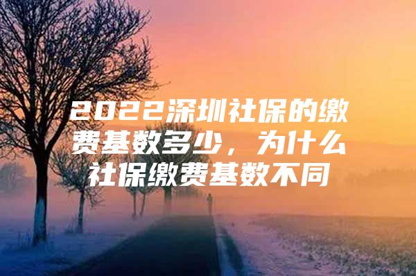 2022深圳社保的缴费基数多少，为什么社保缴费基数不同