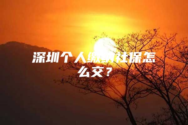 深圳个人缴纳社保怎么交？