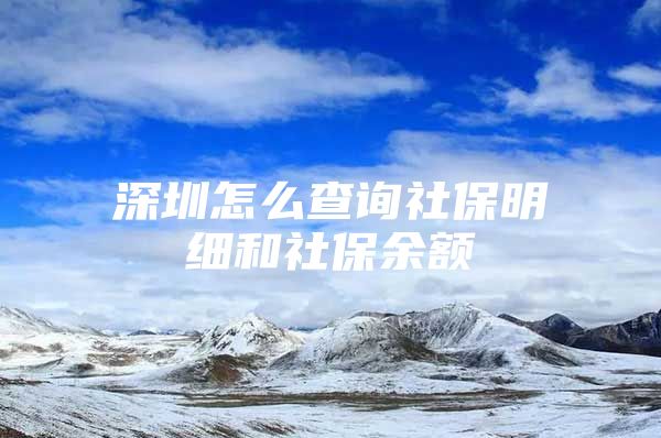 深圳怎么查询社保明细和社保余额