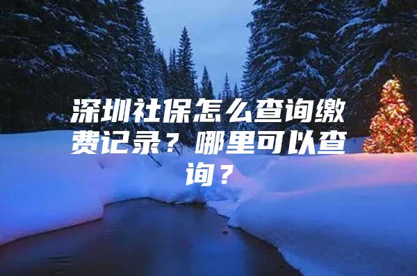 深圳社保怎么查询缴费记录？哪里可以查询？