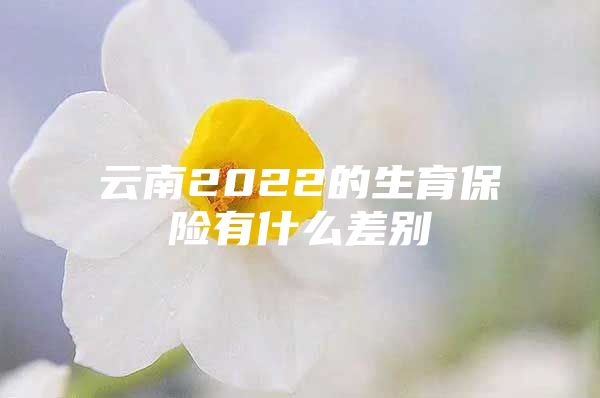 云南2022的生育保险有什么差别