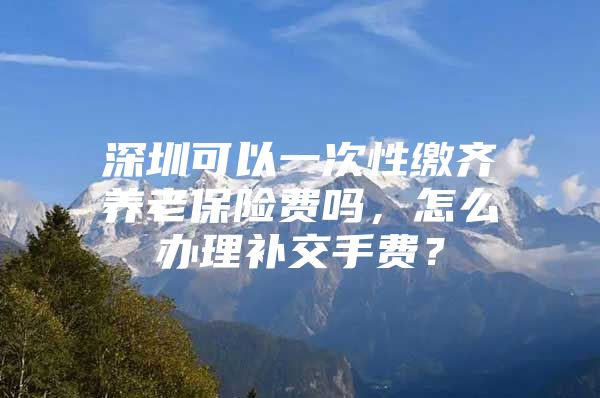 深圳可以一次性缴齐养老保险费吗，怎么办理补交手费？