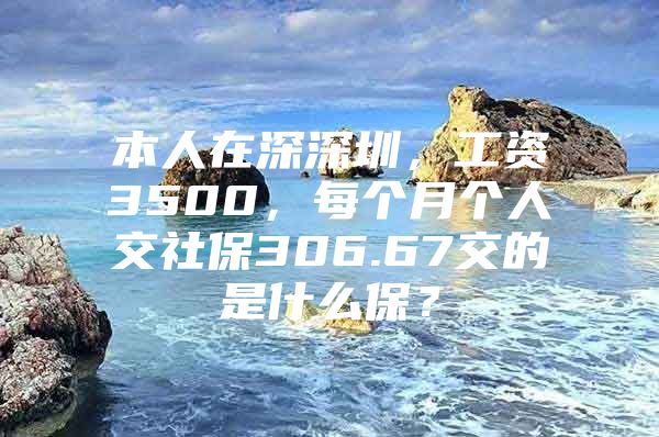 本人在深深圳，工资3500，每个月个人交社保306.67交的是什么保？