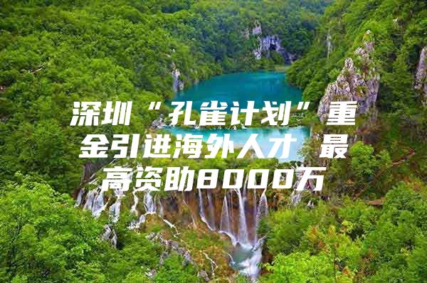 深圳“孔雀计划”重金引进海外人才 最高资助8000万