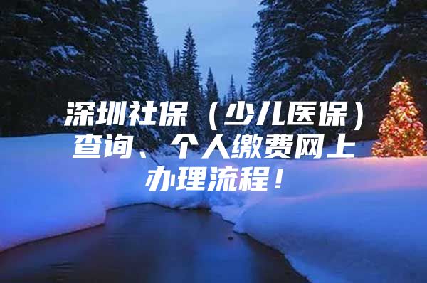 深圳社保（少儿医保）查询、个人缴费网上办理流程！