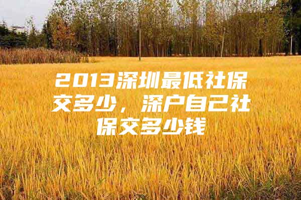 2013深圳最低社保交多少，深户自己社保交多少钱