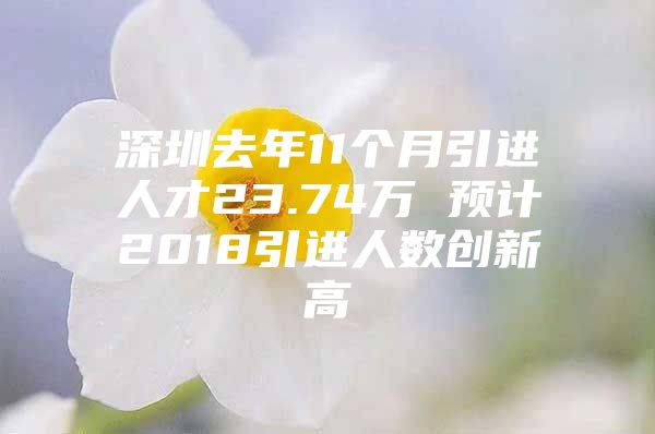 深圳去年11个月引进人才23.74万 预计2018引进人数创新高