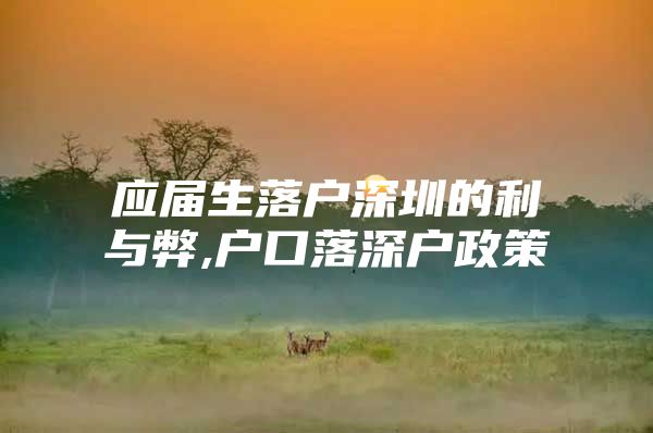 应届生落户深圳的利与弊,户口落深户政策