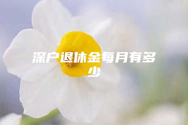 深户退休金每月有多少