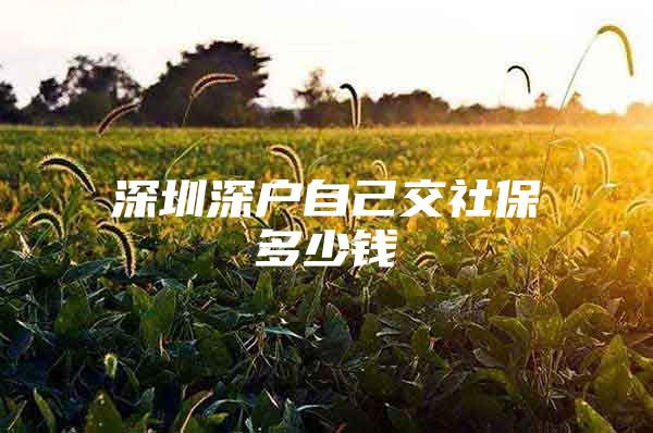 深圳深户自己交社保多少钱