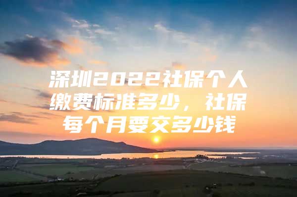 深圳2022社保个人缴费标准多少，社保每个月要交多少钱