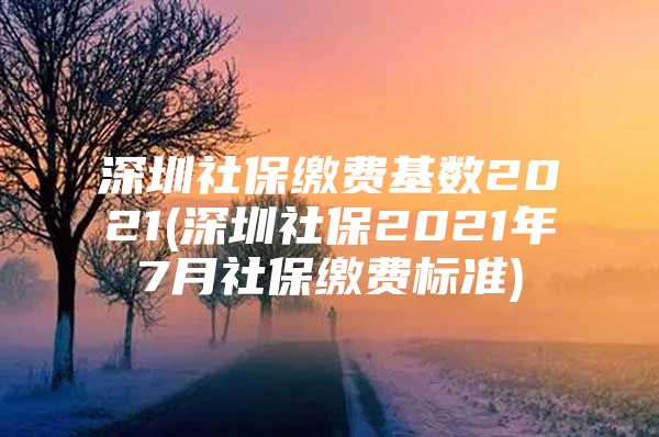 深圳社保缴费基数2021(深圳社保2021年7月社保缴费标准)