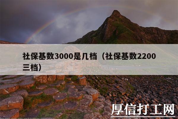 社保基数3000是几档（社保基数2200三档）