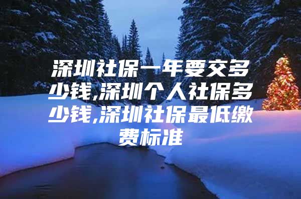 深圳社保一年要交多少钱,深圳个人社保多少钱,深圳社保最低缴费标准