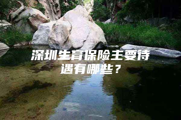 深圳生育保险主要待遇有哪些？