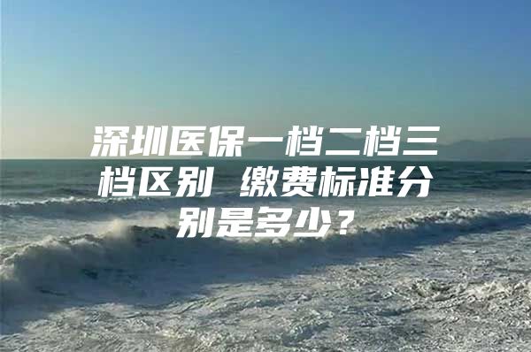 深圳医保一档二档三档区别 缴费标准分别是多少？