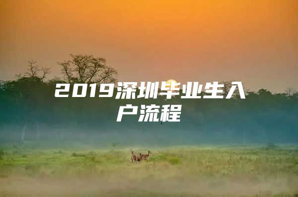 2019深圳毕业生入户流程