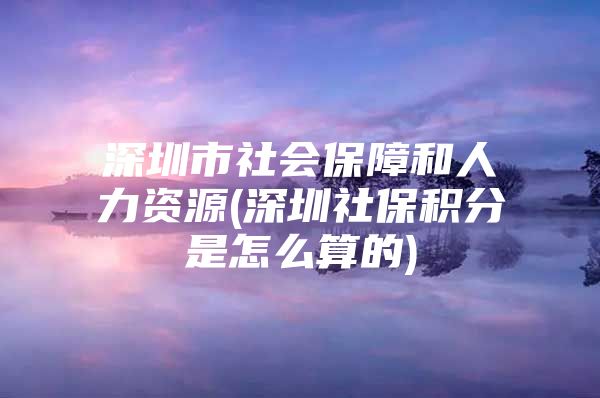 深圳市社会保障和人力资源(深圳社保积分是怎么算的)