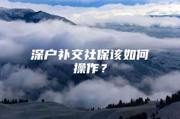 深户补交社保该如何操作？