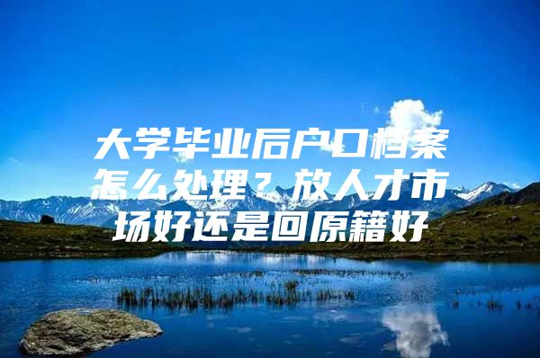 大学毕业后户口档案怎么处理？放人才市场好还是回原籍好