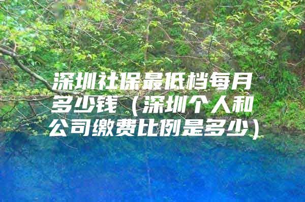 深圳社保最低档每月多少钱（深圳个人和公司缴费比例是多少）