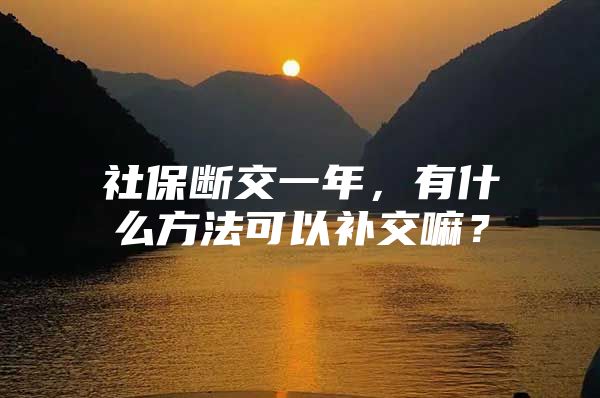 社保断交一年，有什么方法可以补交嘛？