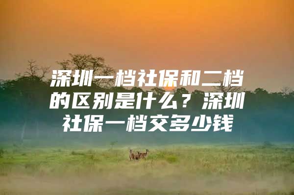 深圳一档社保和二档的区别是什么？深圳社保一档交多少钱