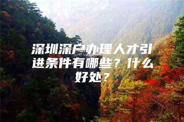 深圳深户办理人才引进条件有哪些？什么好处？