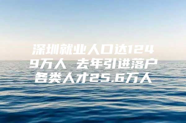 深圳就业人口达1249万人 去年引进落户各类人才25.6万人