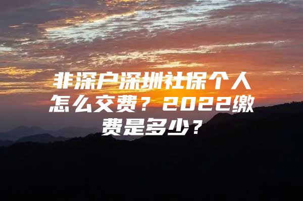 非深户深圳社保个人怎么交费？2022缴费是多少？