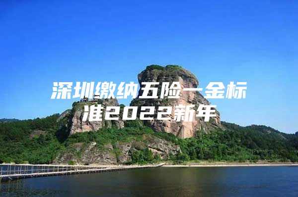 深圳缴纳五险一金标准2022新年