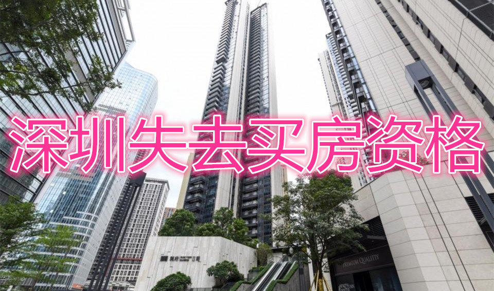 广东政务服务网2022年深圳市人才引进系统