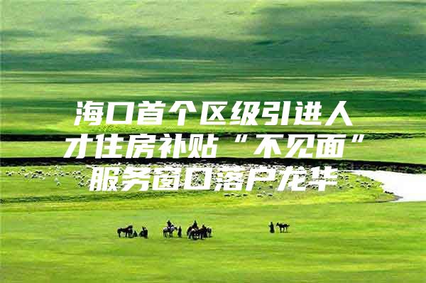 海口首个区级引进人才住房补贴“不见面”服务窗口落户龙华