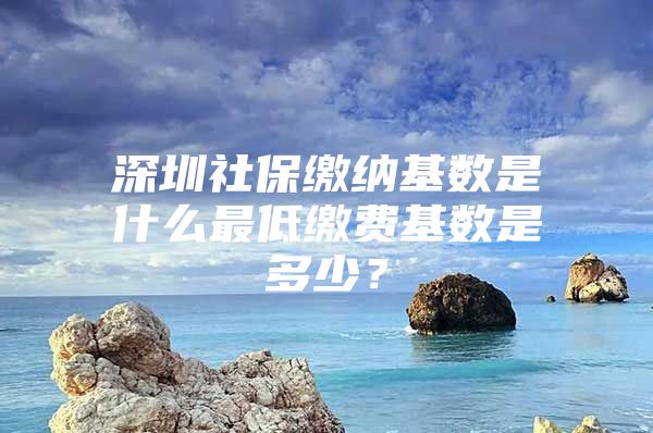 深圳社保缴纳基数是什么最低缴费基数是多少？